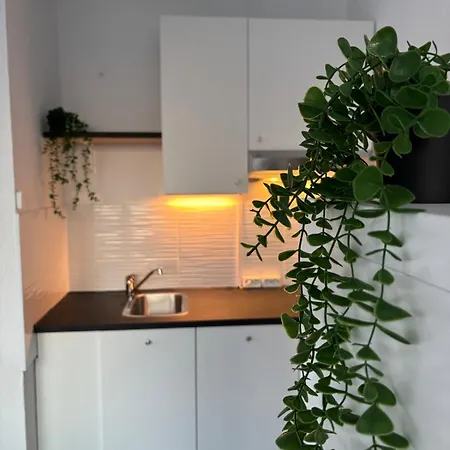 Apartment Zentral Gelegenes 1,5 Von Living