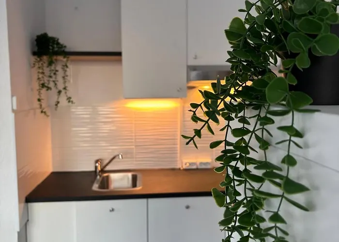 Apartment Zentral Gelegenes 1,5 Von Living